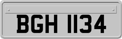 BGH1134