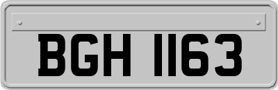 BGH1163