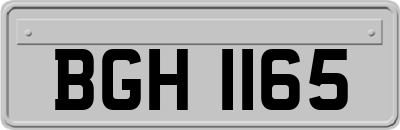 BGH1165