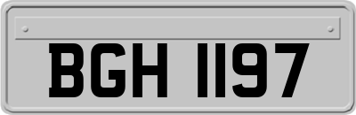 BGH1197