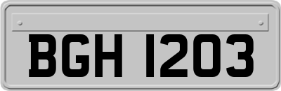BGH1203