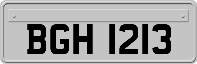 BGH1213