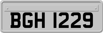 BGH1229