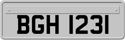 BGH1231