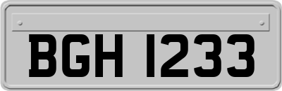 BGH1233