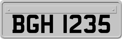 BGH1235