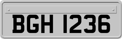 BGH1236