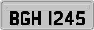 BGH1245