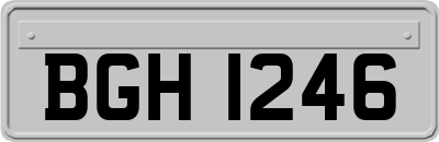 BGH1246