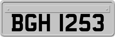BGH1253