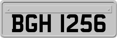 BGH1256