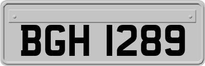 BGH1289