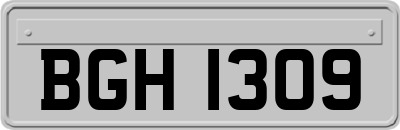 BGH1309