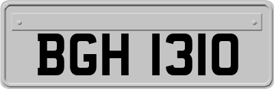 BGH1310