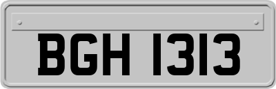 BGH1313