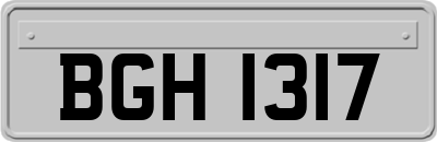 BGH1317