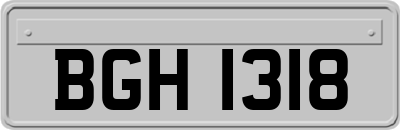 BGH1318
