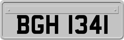 BGH1341