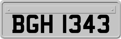 BGH1343