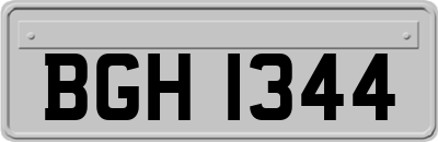 BGH1344