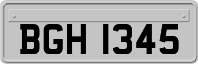 BGH1345