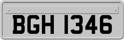 BGH1346