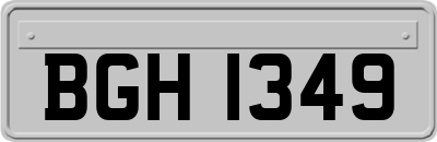 BGH1349