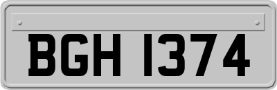 BGH1374