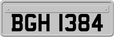 BGH1384