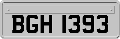 BGH1393