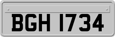 BGH1734