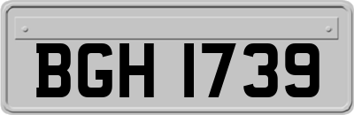 BGH1739
