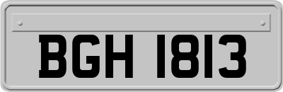 BGH1813