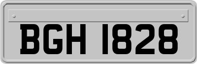 BGH1828
