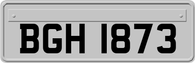 BGH1873