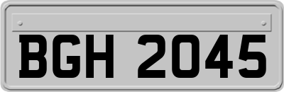 BGH2045