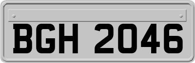 BGH2046