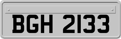 BGH2133
