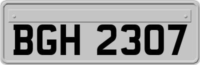 BGH2307