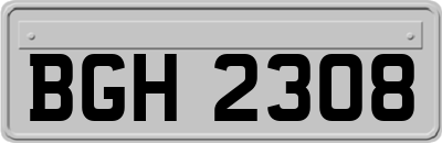 BGH2308
