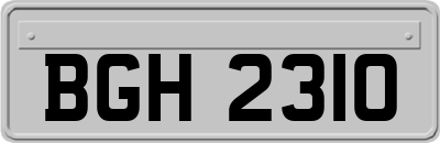 BGH2310