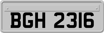 BGH2316