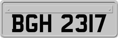BGH2317