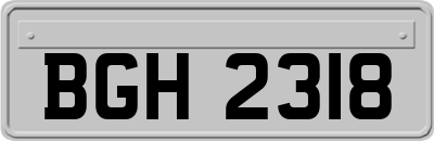 BGH2318