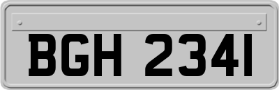 BGH2341