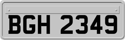 BGH2349