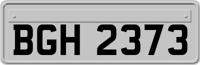 BGH2373
