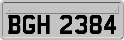BGH2384
