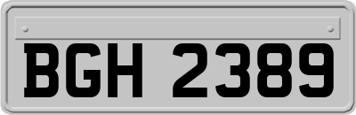 BGH2389