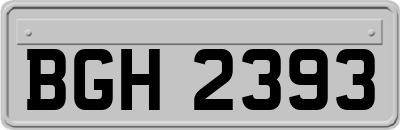 BGH2393